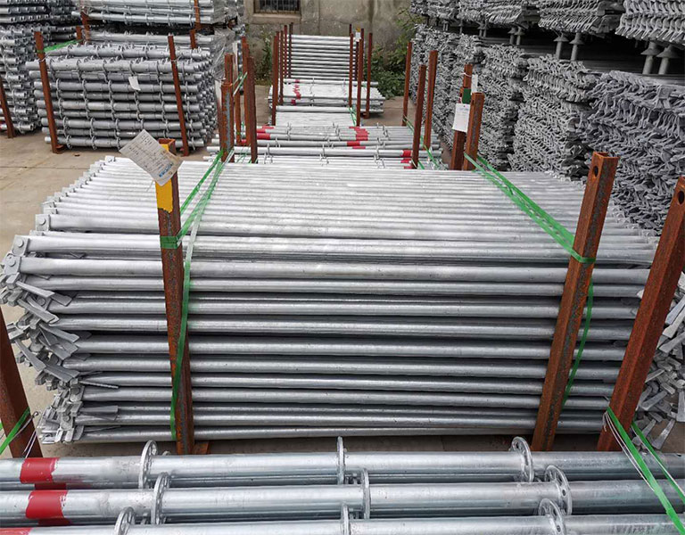 scaffold6